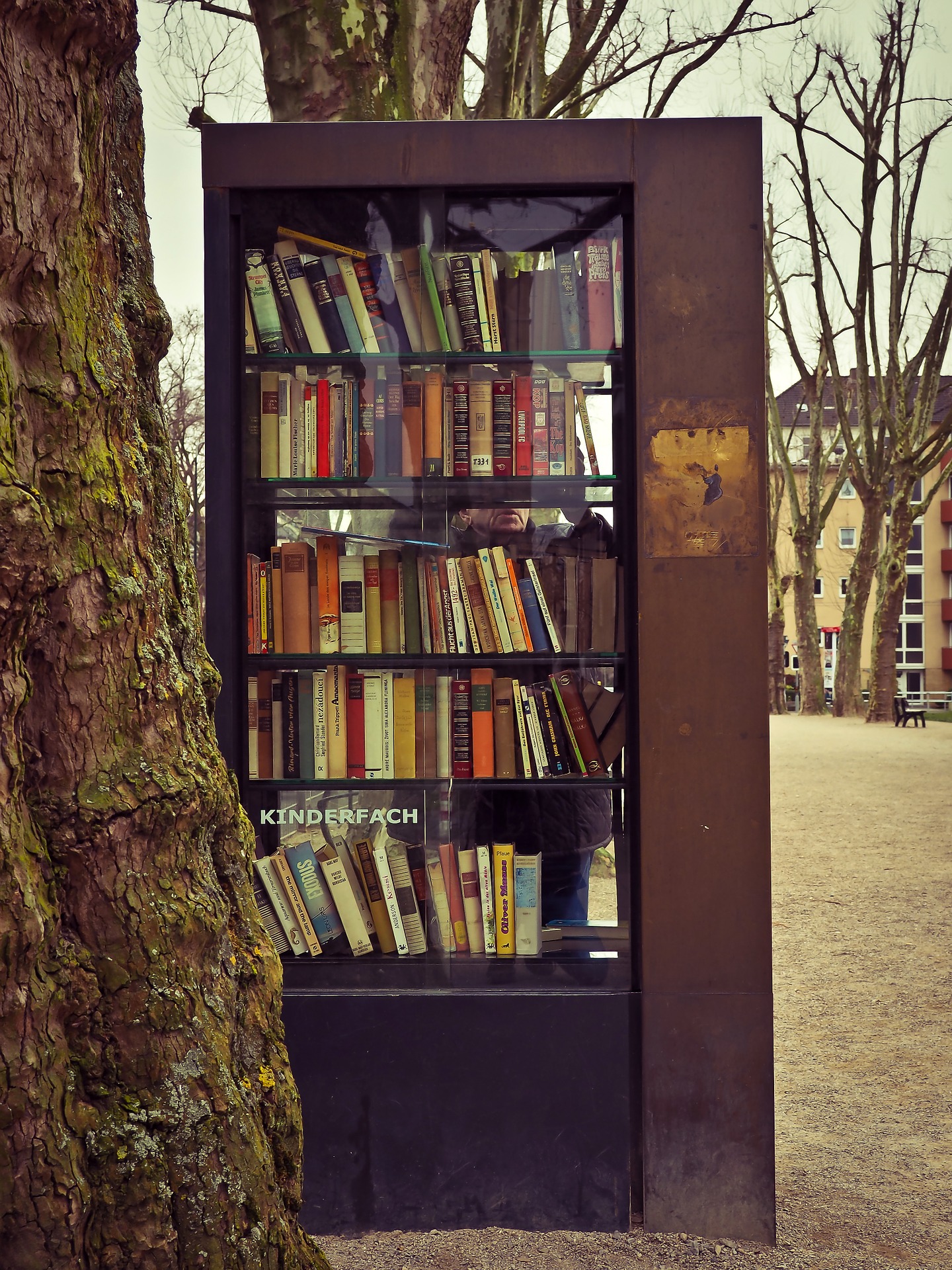 bookcase-ga0f057a37_1920